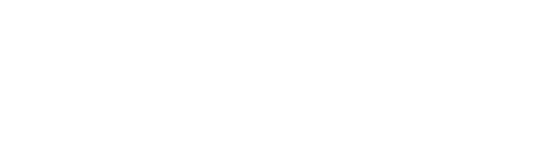 Logo Schnetzer